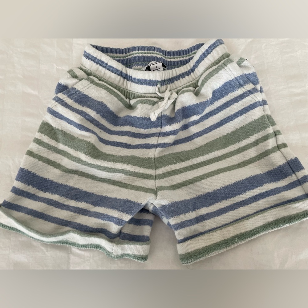 Splendid Striped Shorts in Blue and Green